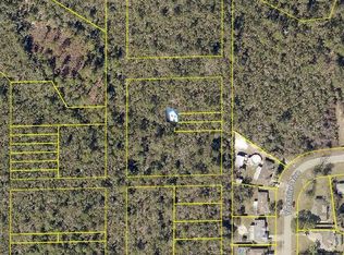 Evelyn Paper St LOT 1, Deltona, FL 32738