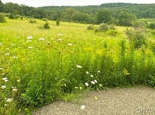 1981 Carter Slocum Rd #12, Marathon, NY 13803