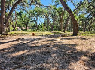 Muck Pond Rd, Seffner, FL 33584