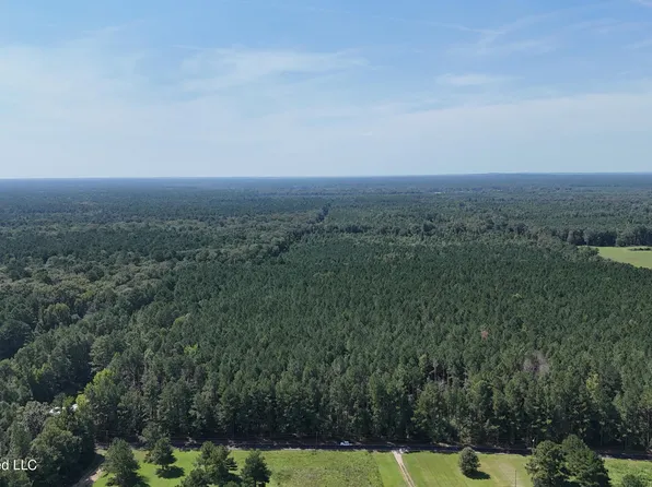 Davis Rd, Morton, MS 39117