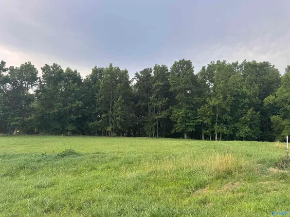8 Road 9116, Fort Payne, AL 35967