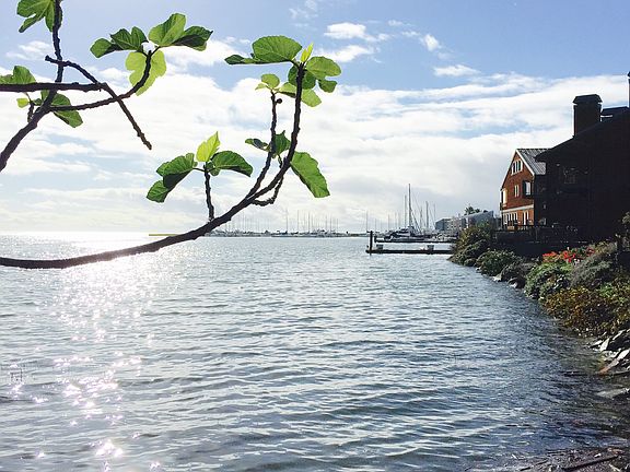 Water access from garden