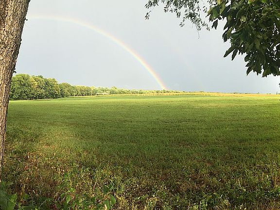 Backyard View