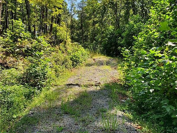 4th image of 0 Asbury Mill Rd