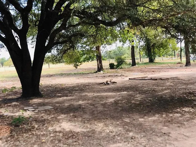 backyard ba