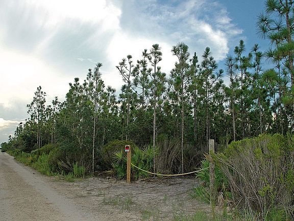 Northwest management access