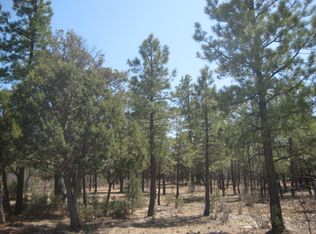 4794 Spur Cir, Happy Jack, AZ 86024