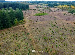 0 140th Ave SW, Rochester, WA 98579