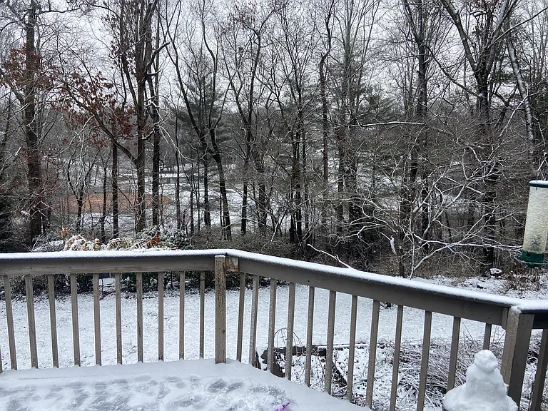 snowy backyard