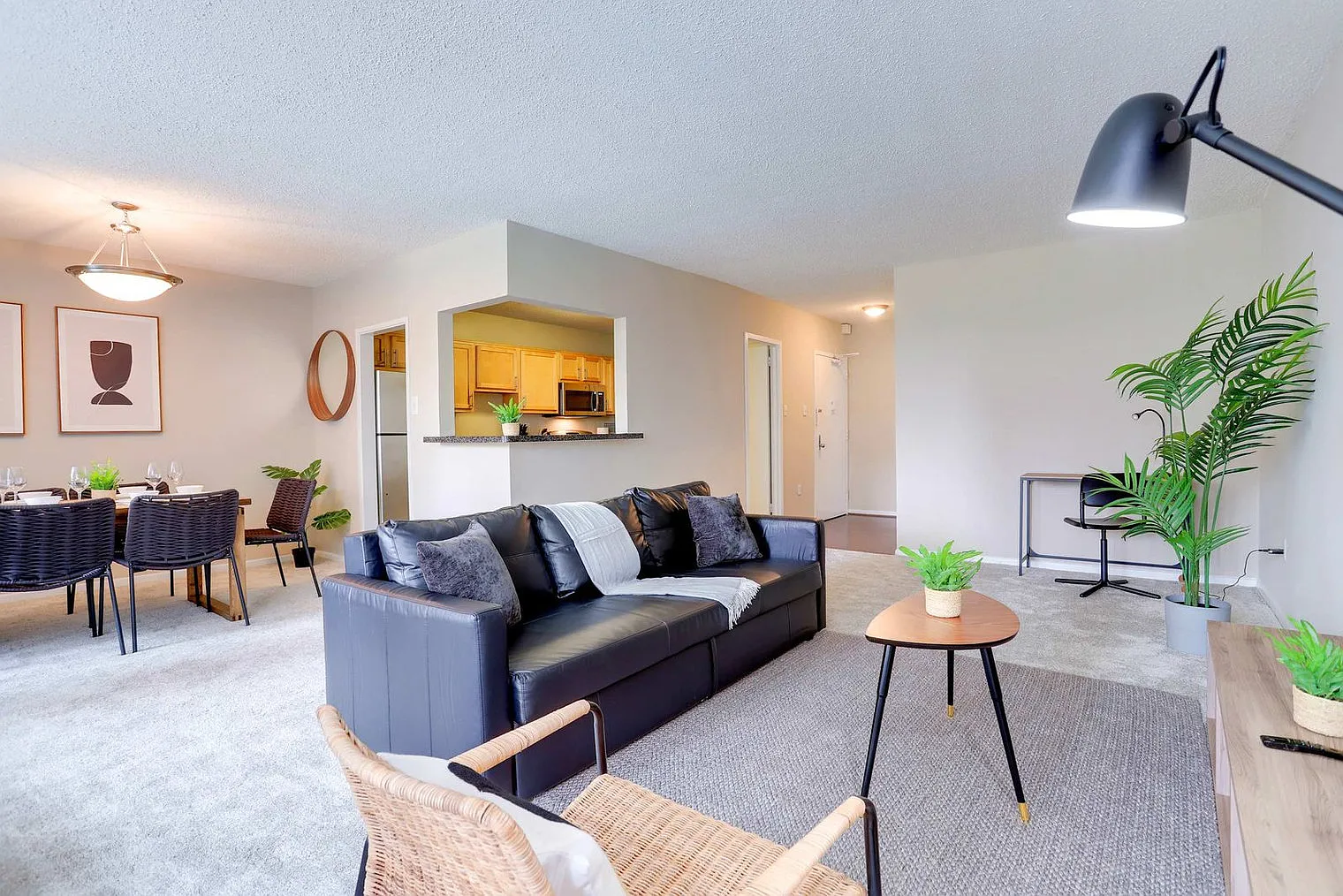 2 bed, 1.0 bath, 1227 sqft, $4,724 — Photo 3