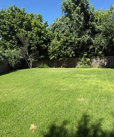 115 Riley Ln — Photo 10