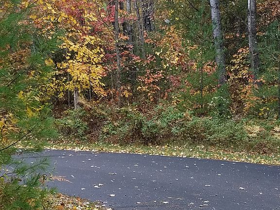 Cul de sac has wooded island