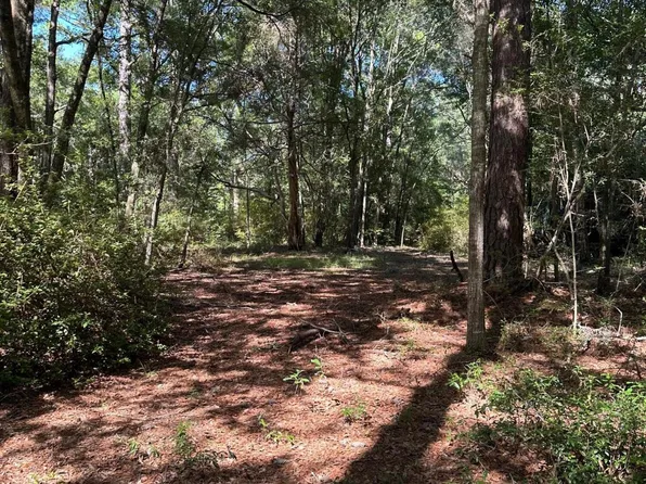 6371 Bears Bluff Rd, Wadmalaw Island, SC 29487