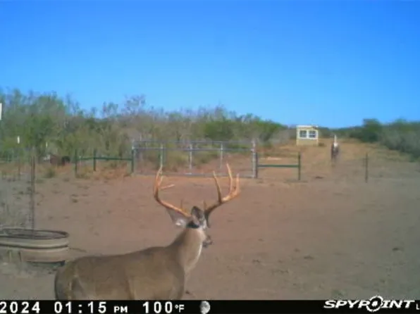 0 Township Road 123, Benavides, TX 78341