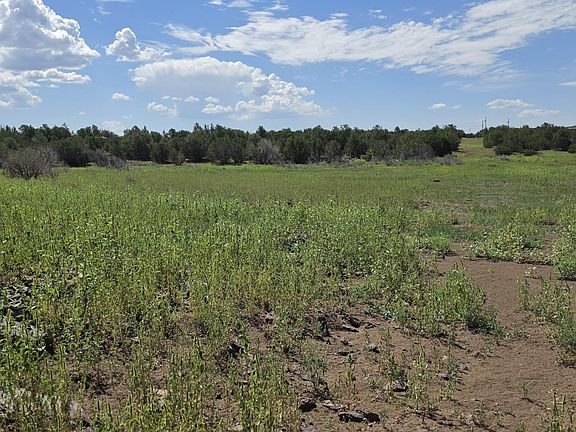 2nd image of County Road 8026
