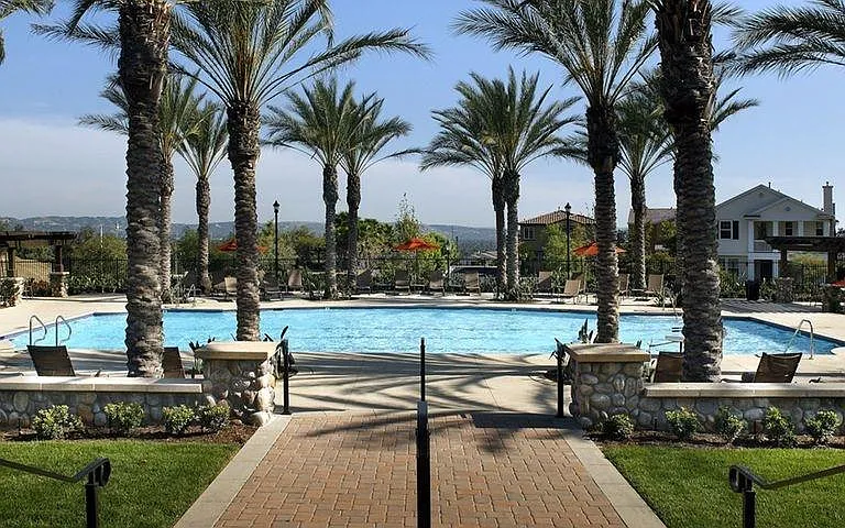 Olympic Size Pool