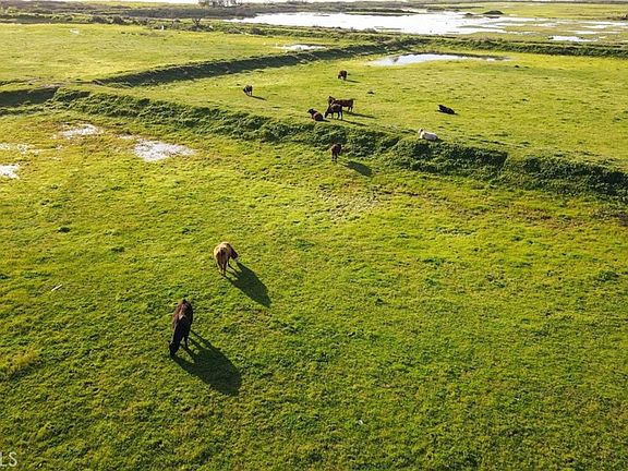 4th image of 5614 Moffatt Rd