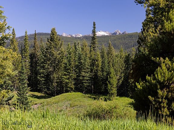 3rd image of Gray Owl Ln
