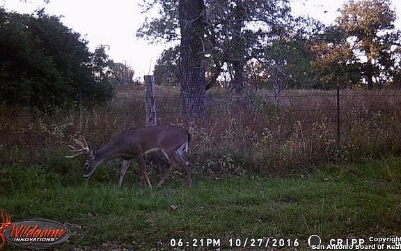5th image of 2110 County Road 438