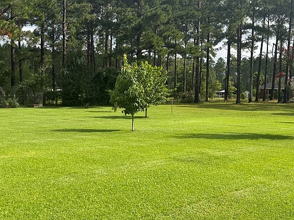5th image of 119 Isabella Terrell Rd