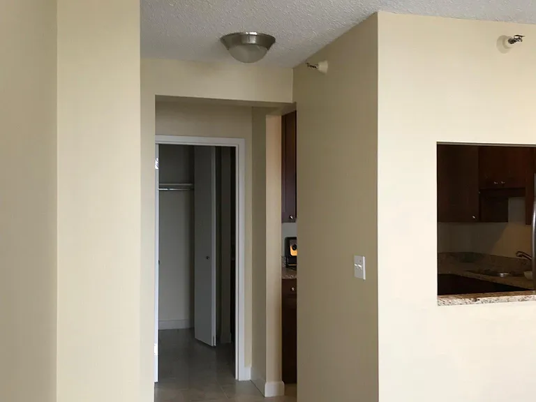 10 E Ontario St #3407 — Photo 16