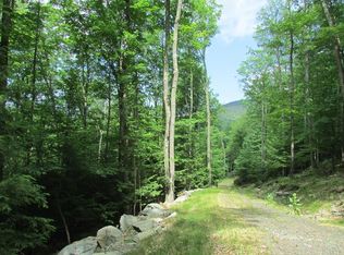 14 Spread Eagle Way, Lake Placid, NY 12946