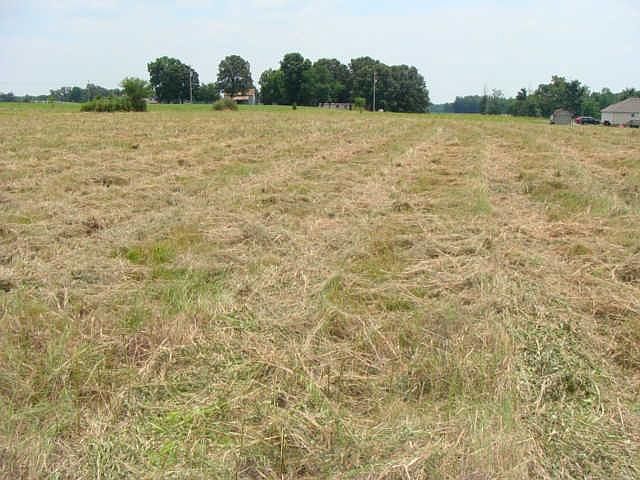 2nd image of 230 Old Martin Chapel Rd