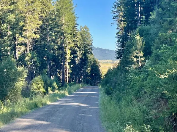 Tbd Thistle Down Rd, New Meadows, ID 83654