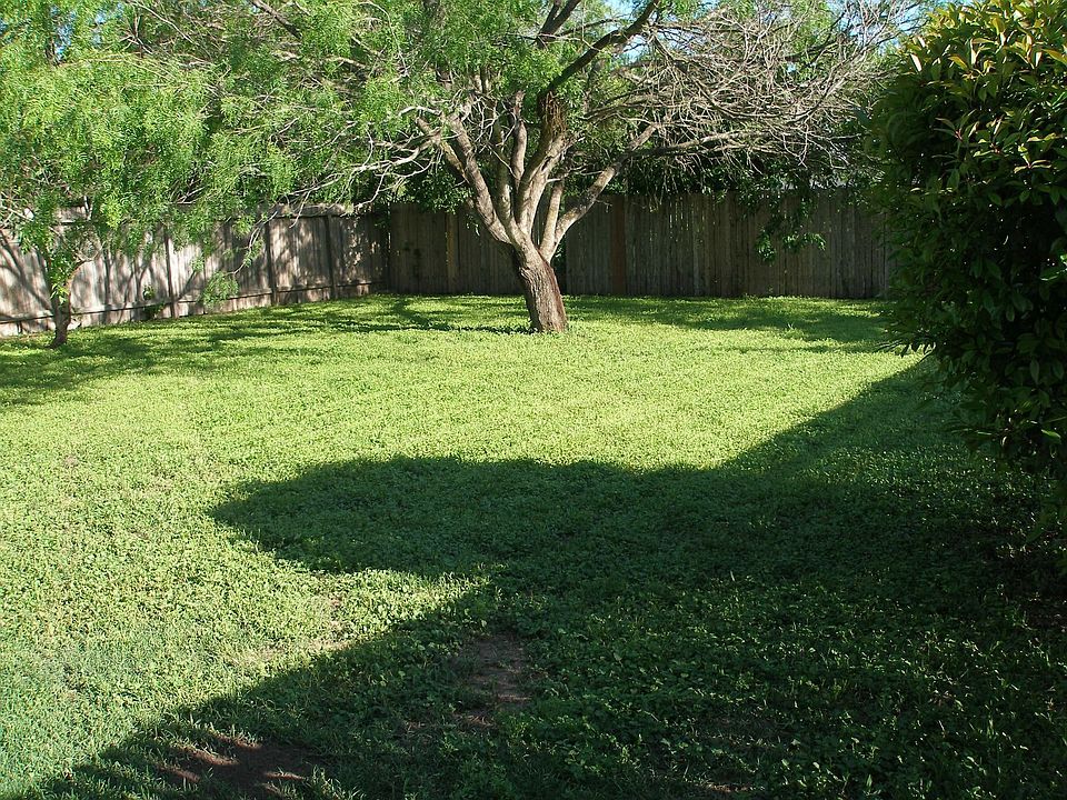 back yard