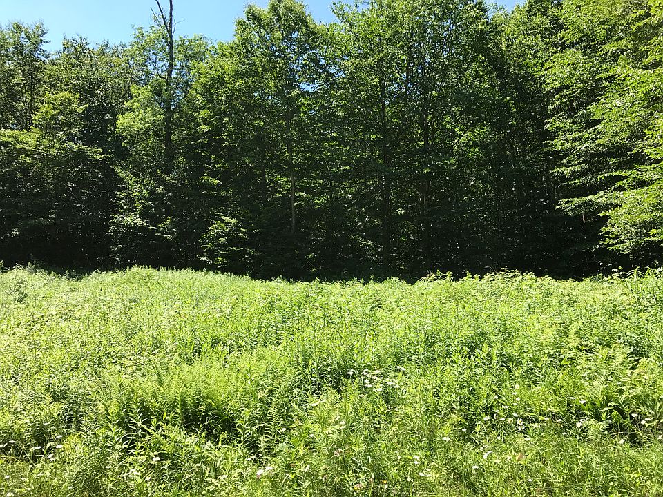 2nd image of Prince Brook Rd #2