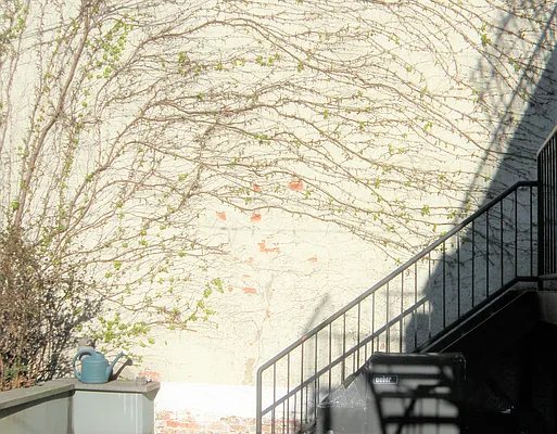 Rented by Douglas Elliman | media 25