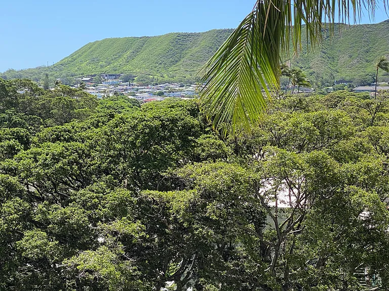 300 Wai Nani Way #605 — Photo 12