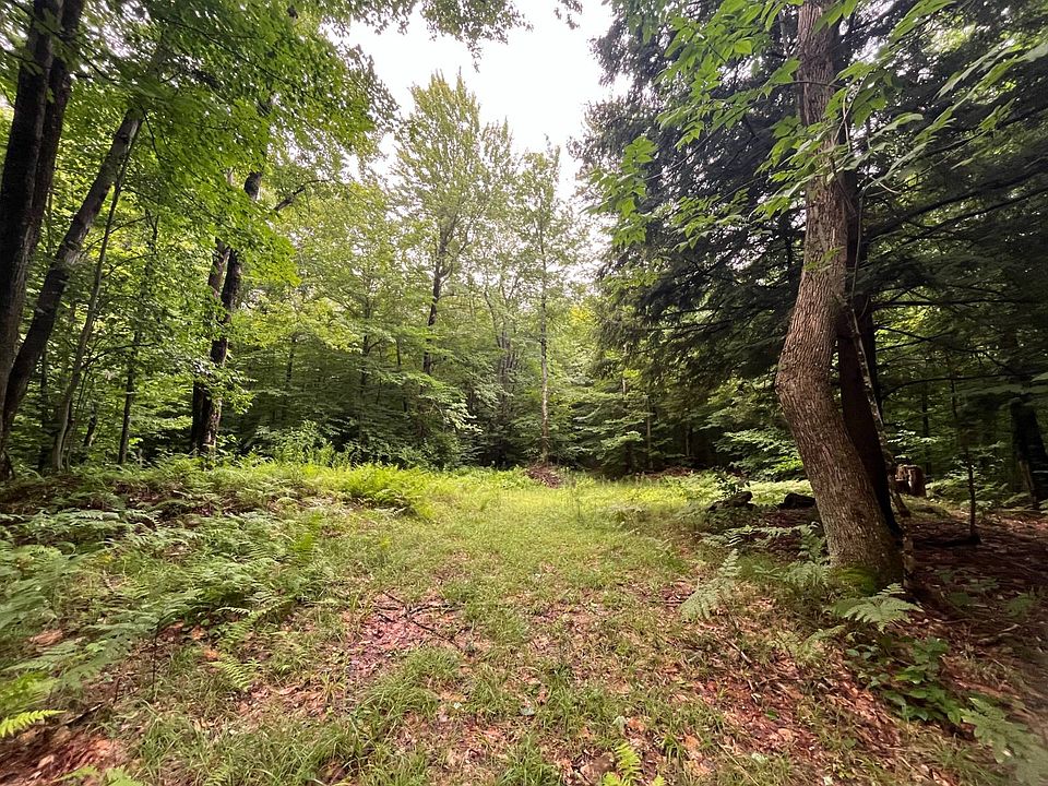 1st image of 0 Boyd Pond Rd #11