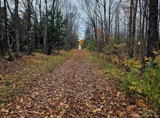 Tbd Koskela Rd, Wakefield, MI 49968