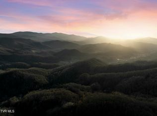 Tbd Buck Mountain Rd, Roan Mountain, TN 37687