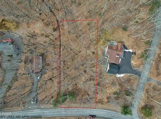 300 Maple Ridge Dr, Hawley, PA 18428