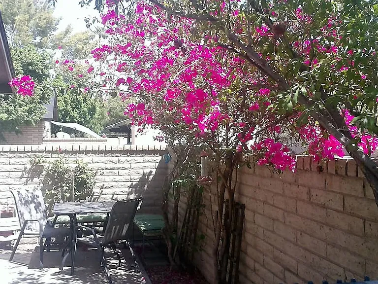 Patio - with mature bougainvillea to provide morning shade. Patio furniture not included.