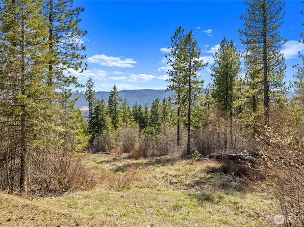 6 Forest Ridge (Lot 6) Drive, Cle Elum, WA 98922