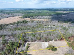 2 Pompey Rd, Manning, SC 29102