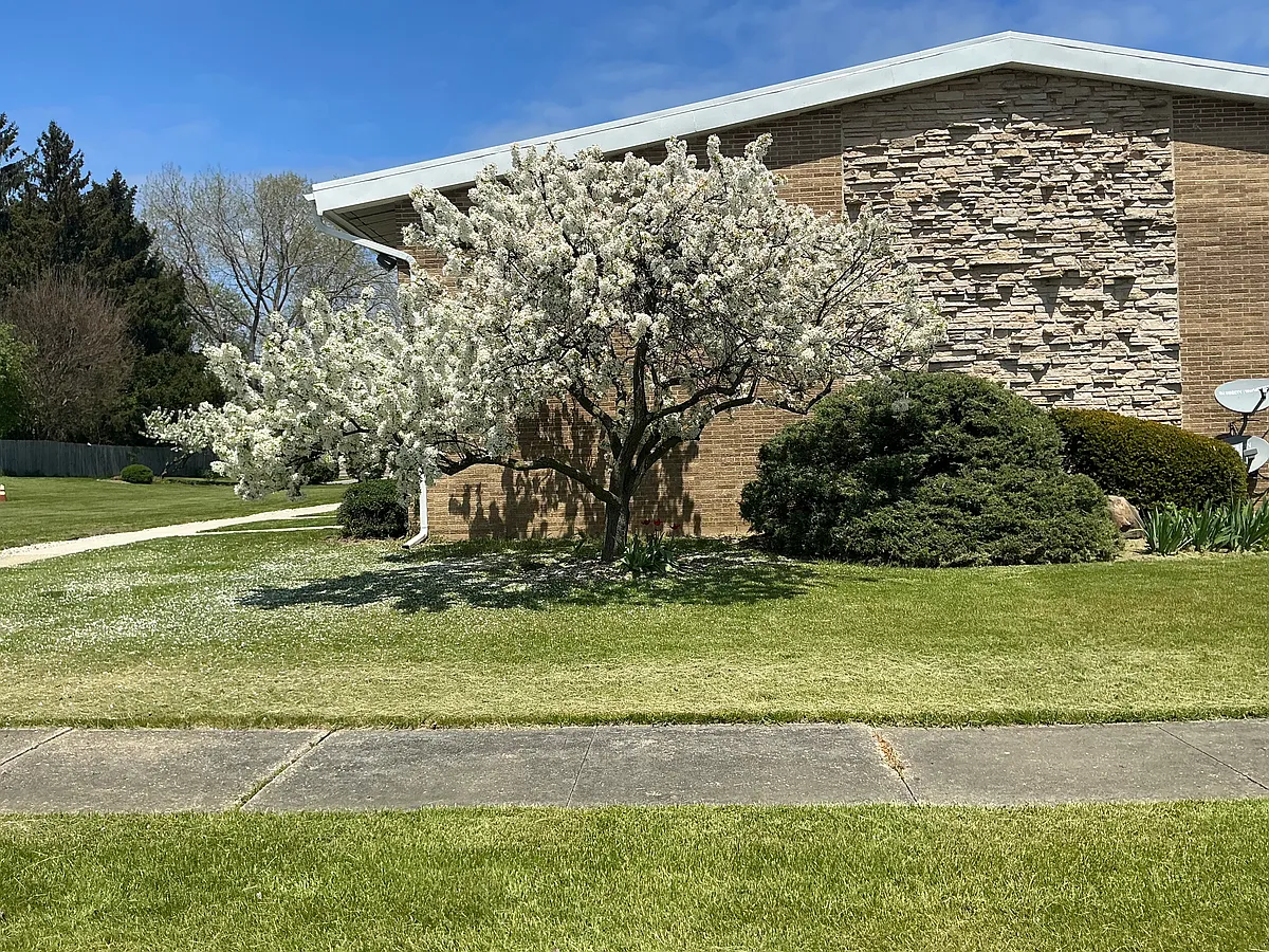 Building Photo - Rolling Hills