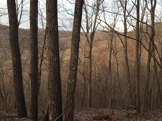 1st image of 16 Cross Creek Trl #16