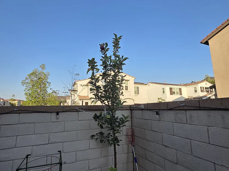 723 Merit Dr — Photo 28
