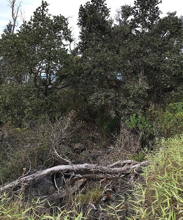 1st image of Hawaii Blvd Lot 36