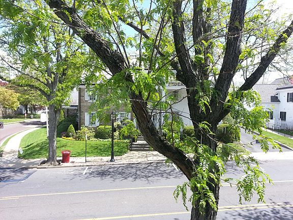view from apartment front windows