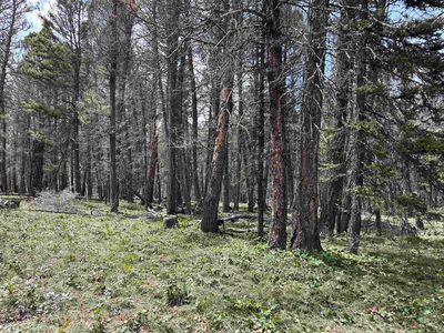 792 Crest Dr, Cimarron, CO, 81220