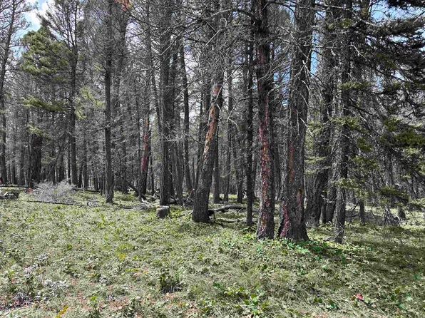 792 Crest Dr, Cimarron, CO 81220