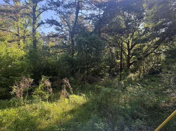 40 County Road 2203, Cleveland, TX 77327