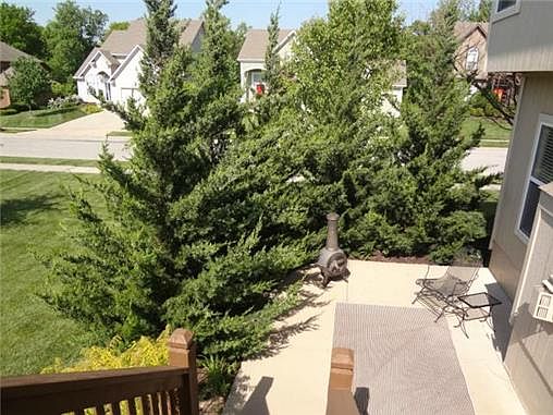 4th image of 1321 Honeysuckle Ct