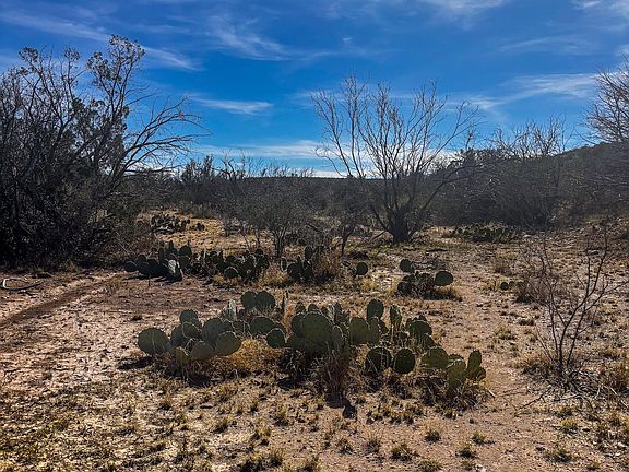 5th image of TRACT 11 Eastwood Rd