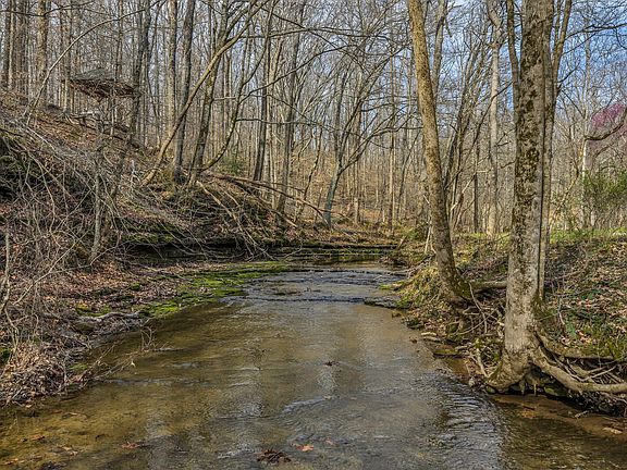 5th image of 7575 King Rd